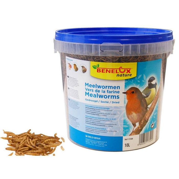 FDA SHOP FOOD VERS DE FARINE SEAU 10 L POUR OISEAUX DU CIEL 5400351175009 17500