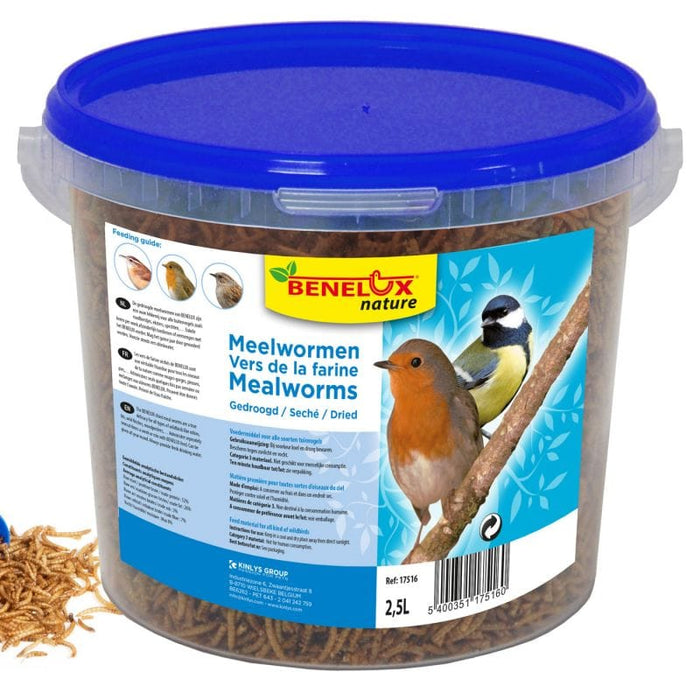 FDA SHOP FOOD VERS DE FARINE SEAU 2.5 L POUR OISEAUX DU CIEL 5400351175160 17516