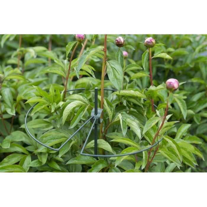 FOUDEBASSIN.COM Anneau en acier galvanisé époxy vert cercle centré (Ø4,5 mm) pour tuteur-coupleur - Ø40 cm 8711338403310 6040331
