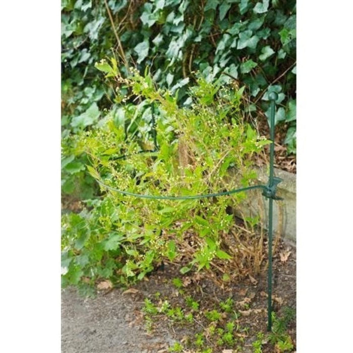 FOUDEBASSIN.COM Anneau en acier galvanisé époxy vert ½-cercle (Ø4,5 mm) pour tuteur-coupleur - Ø65 cm 8711338403167 6040316