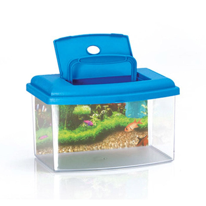 FOUDEBASSIN.COM AQUABOX 3L AVEC POSTER/COUVERCLE 8016040106352 44173