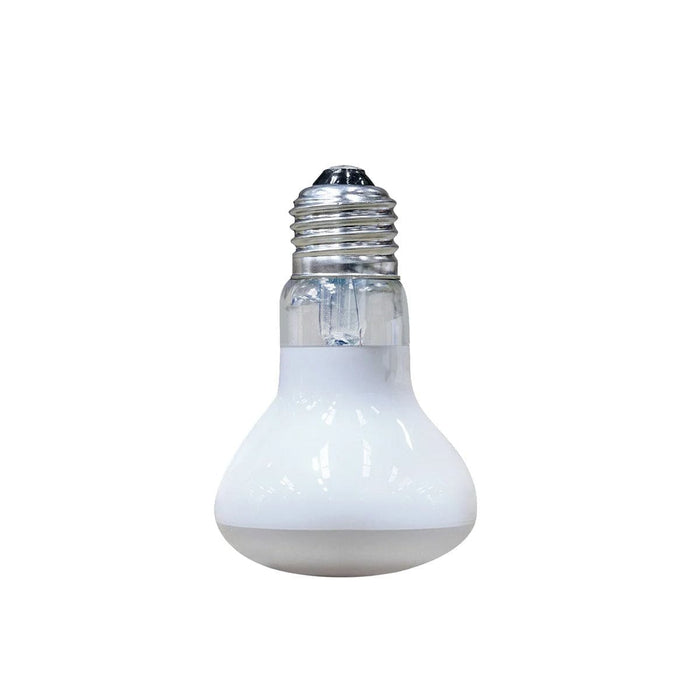 FOUDEBASSIN.COM ARCADIA SOLAR BASKING FLOODLIGHT 50 WATT 0844046011251 0844046011251