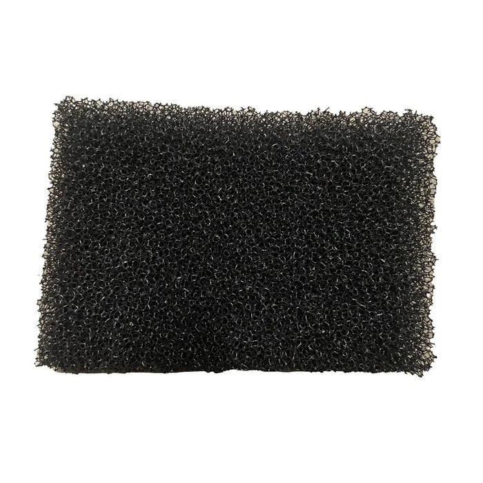FOUDEBASSIN.COM BM SKIM 100 EXCHANGE SPONGE 8715897261213 N7050525