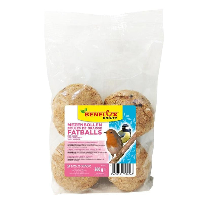 FOUDEBASSIN.COM Nourriture BOULES DE GRAISSE PAR 4 PIÈCES DE BAIES/FRUITS SANS FILET 360G 5400351006761 17711