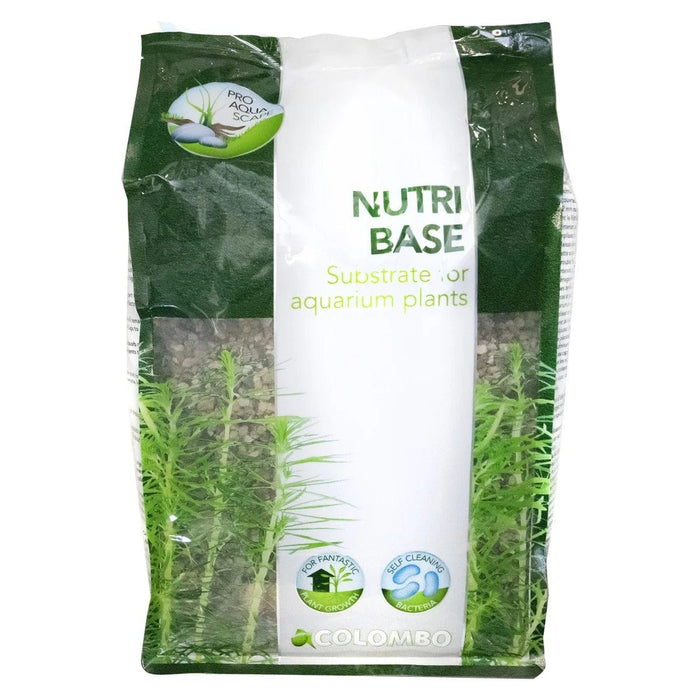FOUDEBASSIN.COM COLOMBO FLORA NUTRI BASE 5 L 8715897164088 A5010030