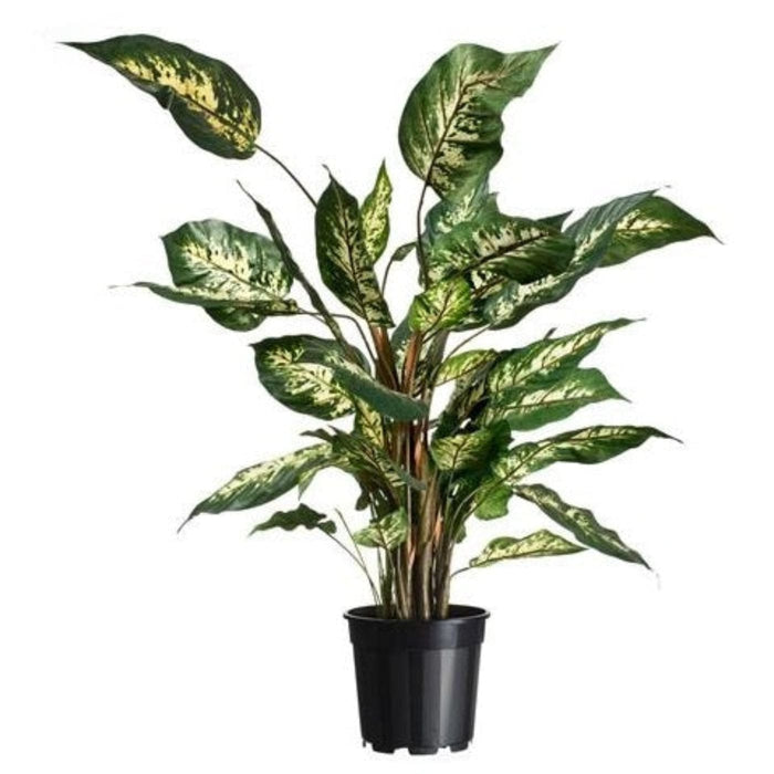FOUDEBASSIN.COM Conteneur fond 4 branches - 4,5l - H18,9 x Ø21 cm - 2 x 8711338702123 6070212