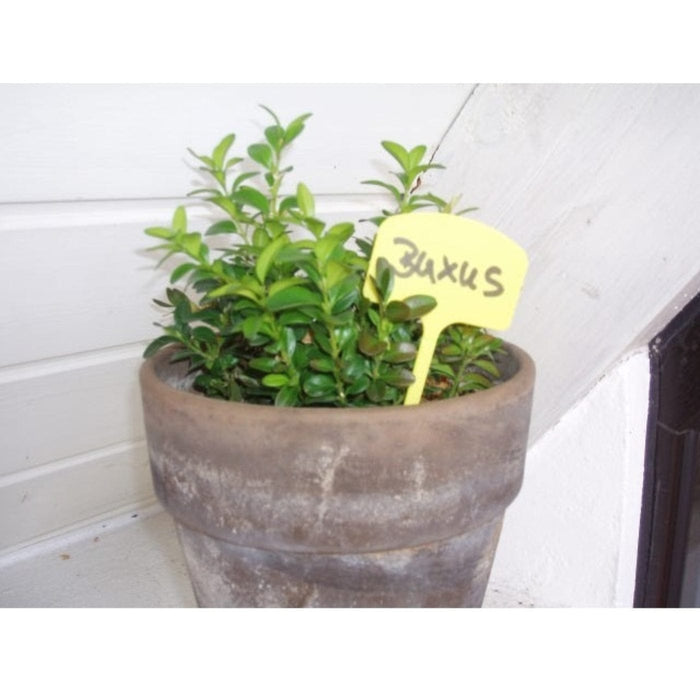 FOUDEBASSIN.COM Etiquettes en T à planter en PVC - 12,5 cm - 10 x 8711338203170 6020317