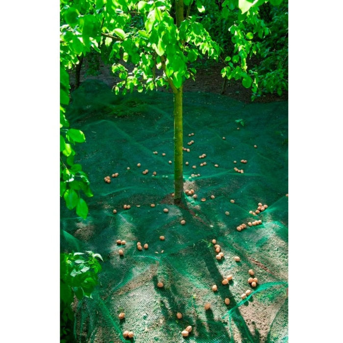 FOUDEBASSIN.COM Filet de ramassage fruits et feuilles mortes – PE, 4 œillets, vert, maille 8x8 mm, 48 g/m² - 4,3 x 4,3 m 8711338304518 6030451