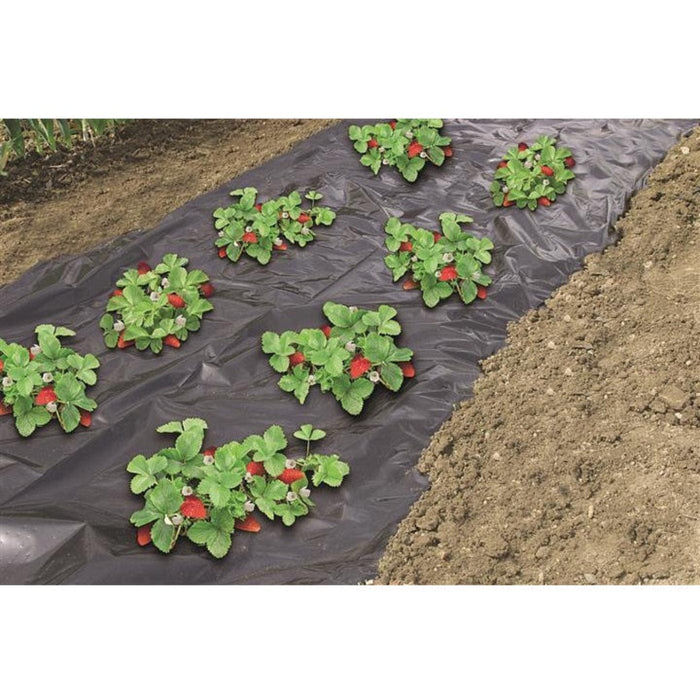 FOUDEBASSIN.COM Film de paillage micro-perforé spécial fraises - LDPE noir, 50µ - 1,40 x 10 m 8711338302248 6030224