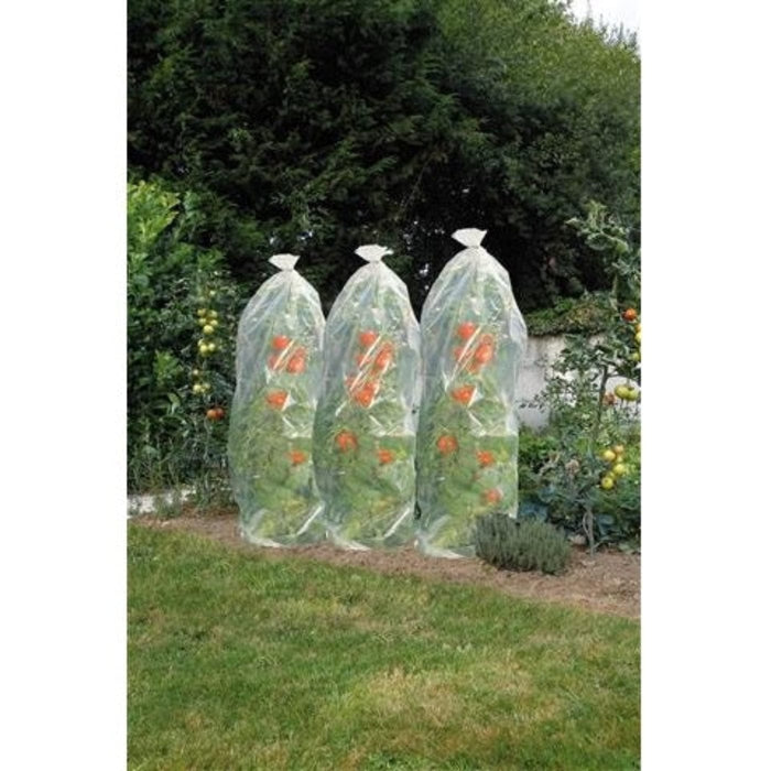 FOUDEBASSIN.COM Gaine en film de croissance perforé pour tomates - LDPE, 50 µ, 400 trous/m² - 15 m x Ø50 cm 8711338302088 6030208