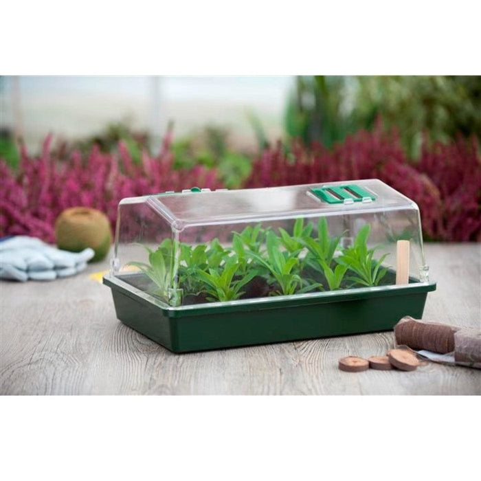 FOUDEBASSIN.COM Mini serre de culture - terrine rigide, couvercle ventilé - H21 x 55 x 31 cm 8711338202111 6020211