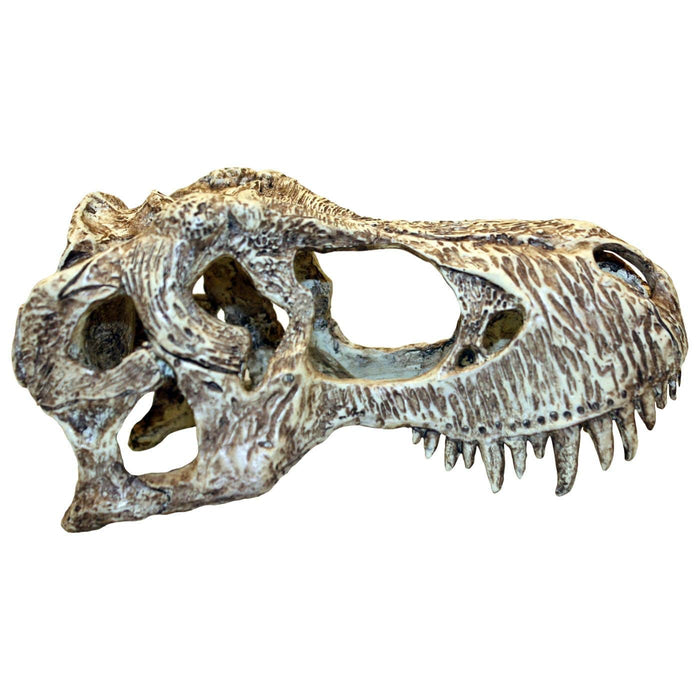 FOUDEBASSIN.COM ORNEMENT DE CRÂNE DE DINOSAURE T-REX - PETIT 0701029829442 K82944