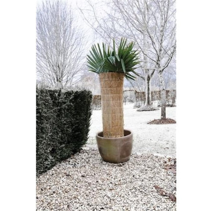 FOUDEBASSIN.COM Paillon en paille de riz cousue - épaisseur +/- 1/1,5 cm - H100 x 150 cm 8711338301050 6030105