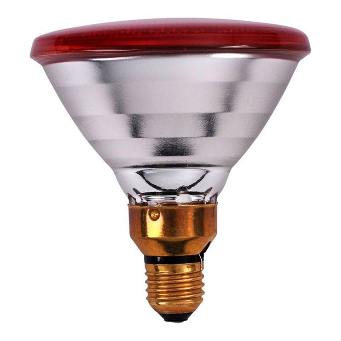 FOUDEBASSIN.COM Matériel d'élevage & de Nidification PHILIPS LAMPE INFRAROUGE PAR 100W ROUGE 8711500600523