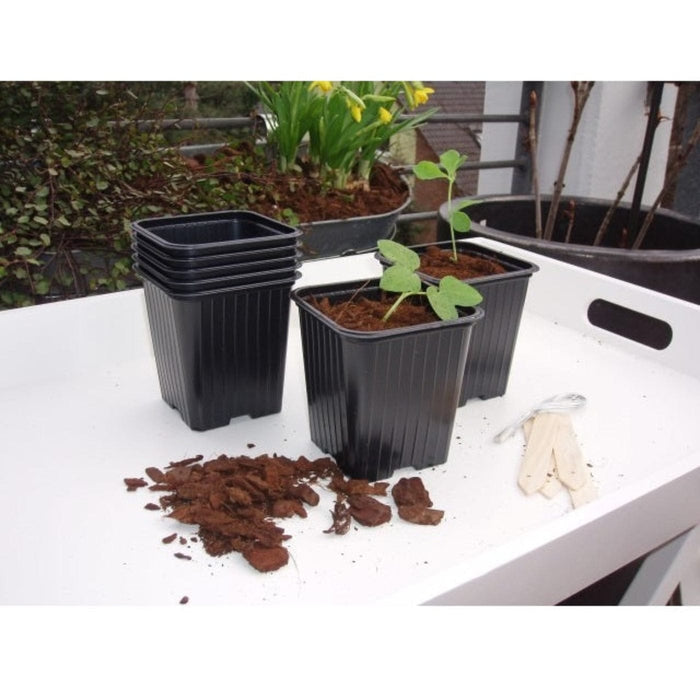 FOUDEBASSIN.COM Pots de bouturage en polystyrène - H6,4 x 7 x 7 cm - 20 x 8711338201107 6020110