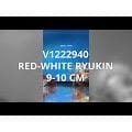 FOUDEBASSIN.COM RED-WHITE RYUKIN 9-10 CM 8715897013836 V1222940