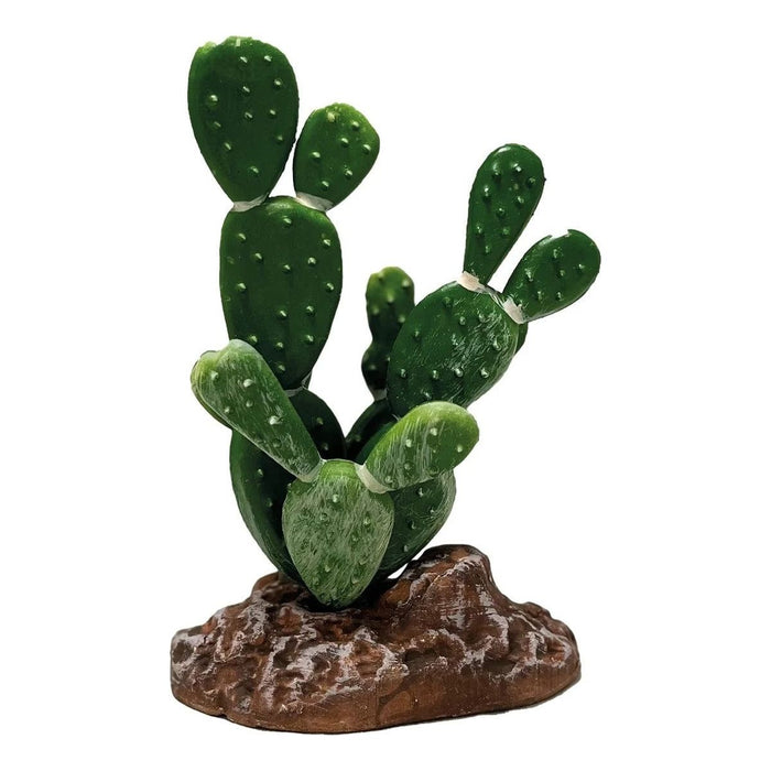 FOUDEBASSIN.COM REPTO PLANT CACTUS OPUNTIA 8715897339660 R5100050