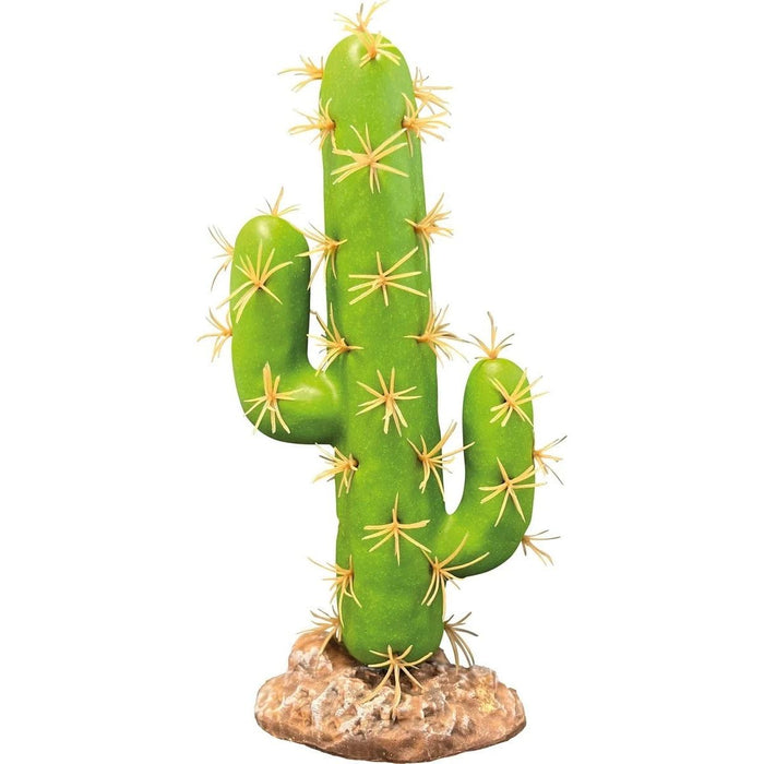FOUDEBASSIN.COM REPTO PLANT CACTUS SAN PEDRO 8715897339691 R5100065