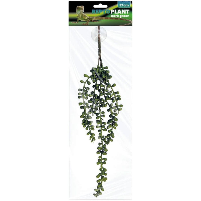 FOUDEBASSIN.COM REPTO PLANT DARK GREEN 37 CM 8715897339721 R5100080