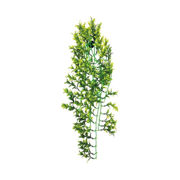 FOUDEBASSIN.COM REPTO PLANT GREEN/YELLOW 70 CM 8715897339745 R5100090