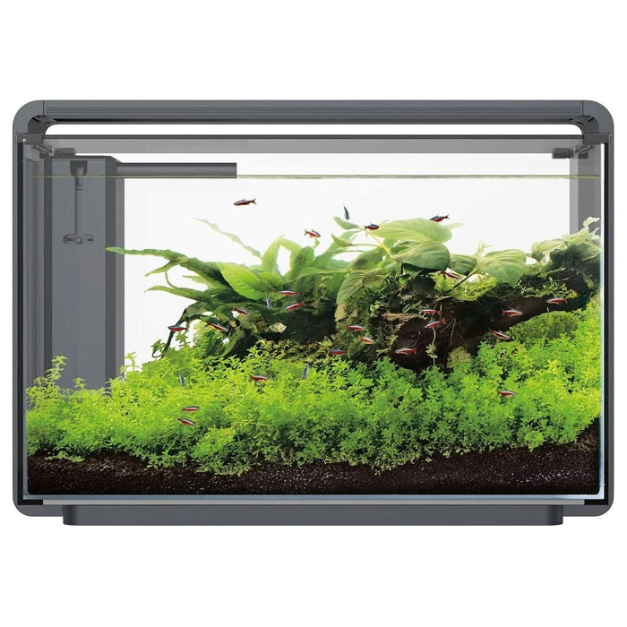 FOUDEBASSIN.COM SF HOME PROLED 65 AQUARIUM BLACK 8715897351402 A4051635