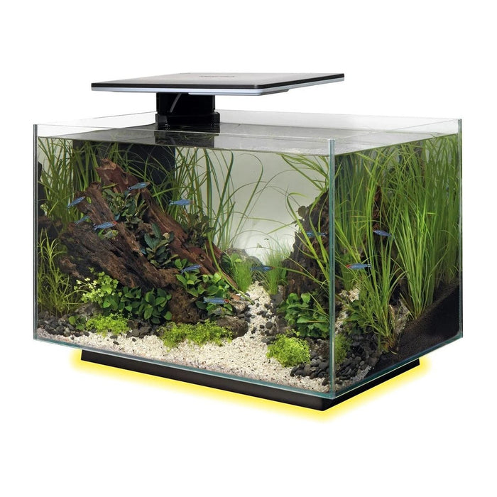 FOUDEBASSIN.COM SF QUADRO 40 MULTI COLOUR BLACK 	8715897341649 A4052215