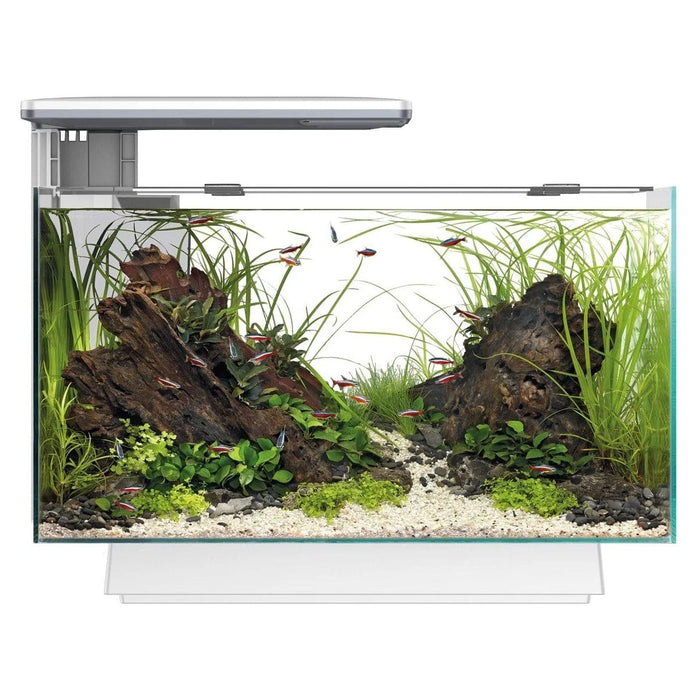 FOUDEBASSIN.COM SF QUADRO 40 MULTI COLOUR WHITE 	8715897341632 A4052210