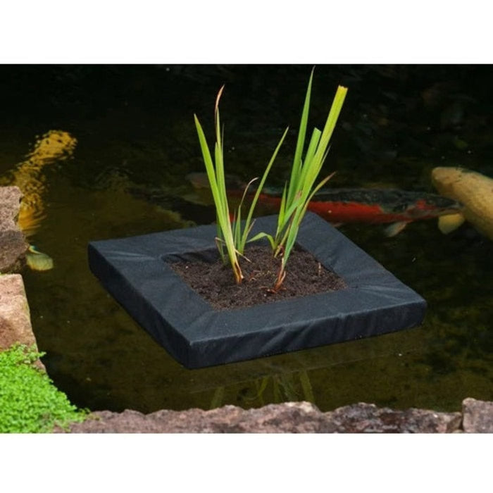 FOUDEBASSIN.COM Swimplant - île flottante pour plantes aquatiques, carrée, convient pour 1063920 (H15x25x25 cm) - 40 x 40 cm 8711465760126 1376012