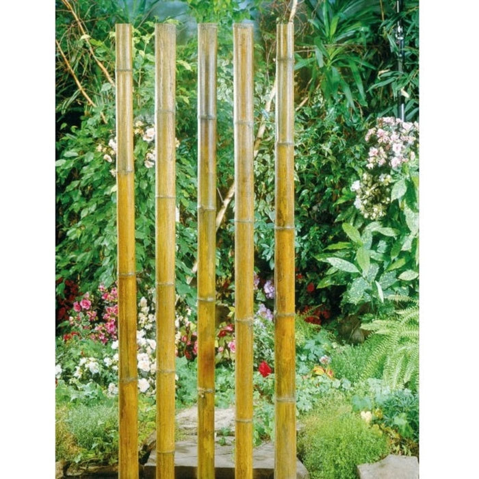 FOUDEBASSIN.COM Tige bambou naturel laqué décoratif - H300 cm x Ø50/60 mm 8711338402221 6040222