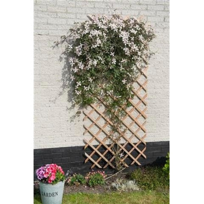 FOUDEBASSIN.COM Treillis extensible en bois naturel - FSC® label, lattes 18 x 6 mm - 100 x 200 cm 8711338417034 6041703