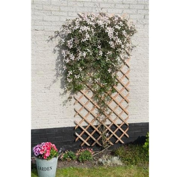 FOUDEBASSIN.COM Treillis extensible en bois naturel - FSC® label, lattes 18 x 6 mm - 50 x 150 cm 8711338417010 6041701