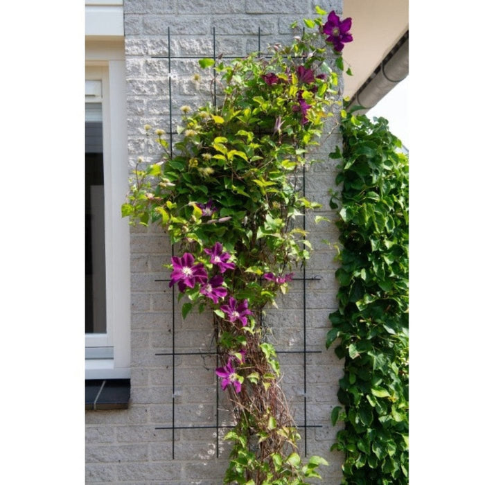FOUDEBASSIN.COM Treillis métallique rectangulaire en acier galvanisé Metalex® - set de fixation - H145 x 57 cm 8711338407363 6040736