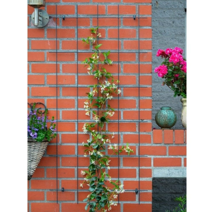 FOUDEBASSIN.COM Treillis métallique rectangulaire en acier galvanisé plastifié gris Metalex® - set de fixation - H145 x 72,5 cm 8711338407479 6040747