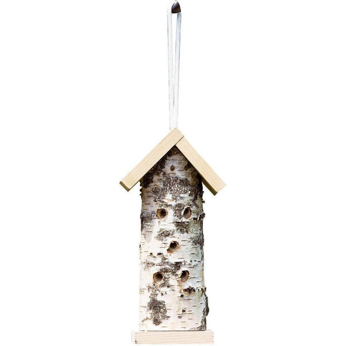 FOUDEBASSIN.COM TRONC DE BOULEAU SUSPENDUS DU INSECTES 5051054164281 925240619