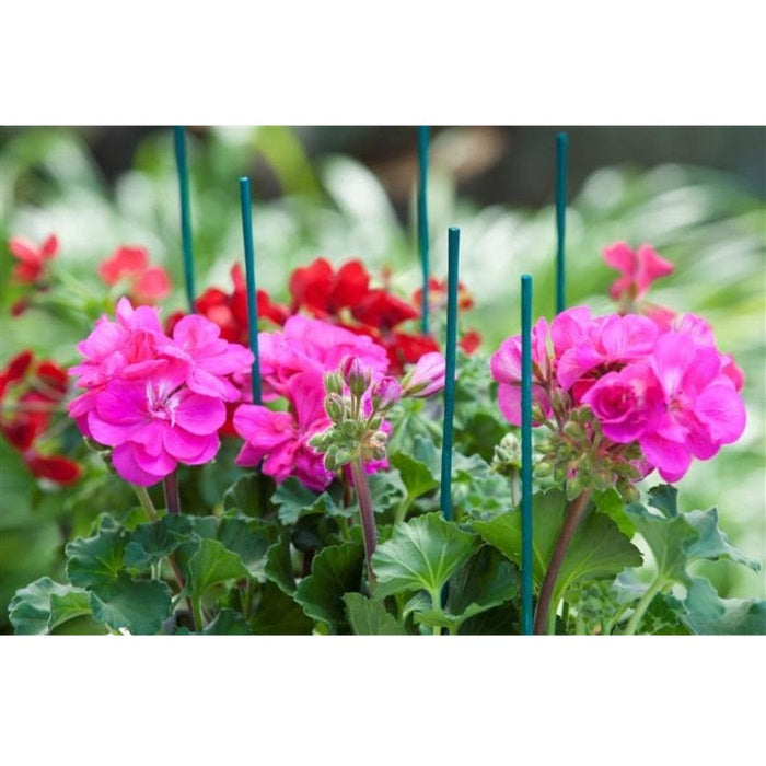 FOUDEBASSIN.COM Tuteur bambou refendu vert - H50 cm x Ø4-4,5 mm - 10 x 8711338402153 6040215