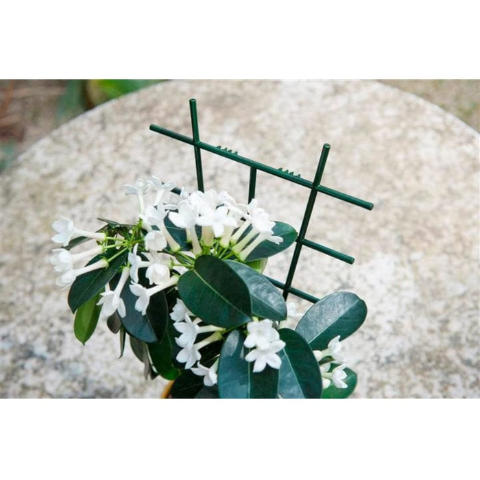 FOUDEBASSIN.COM Tuteur échelle vert emboîtable pour plantes grimpantes - 37 x 23 cm - 2 x 8711338401064 6040106