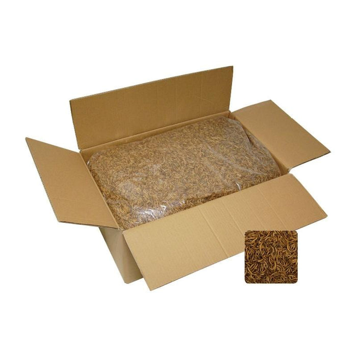 FOUDEBASSIN.COM Nourriture VERS DE FARINE SECHE SAC 5 KG 5400351007799 46357