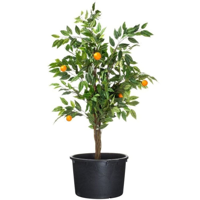 FOUDEBASSIN.COM Victoria 60, JP container 90l 36x68cm 8711465503471 1050347