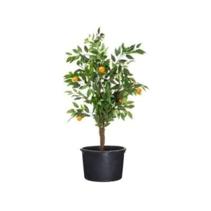 FOUDEBASSIN.COM Victoria 90, JP container 150l 32x88cm 8711465503495 1050349