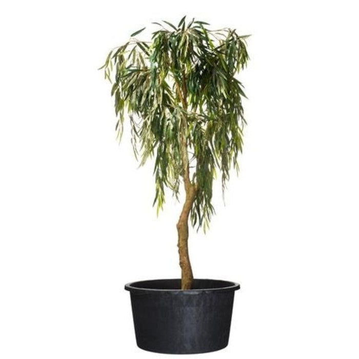 FOUDEBASSIN.COM Victoria - Conteneur rond fond avec trous de drainage et poignées - 50L - H36 x Ø53,5 cm 8711338703229 6070322