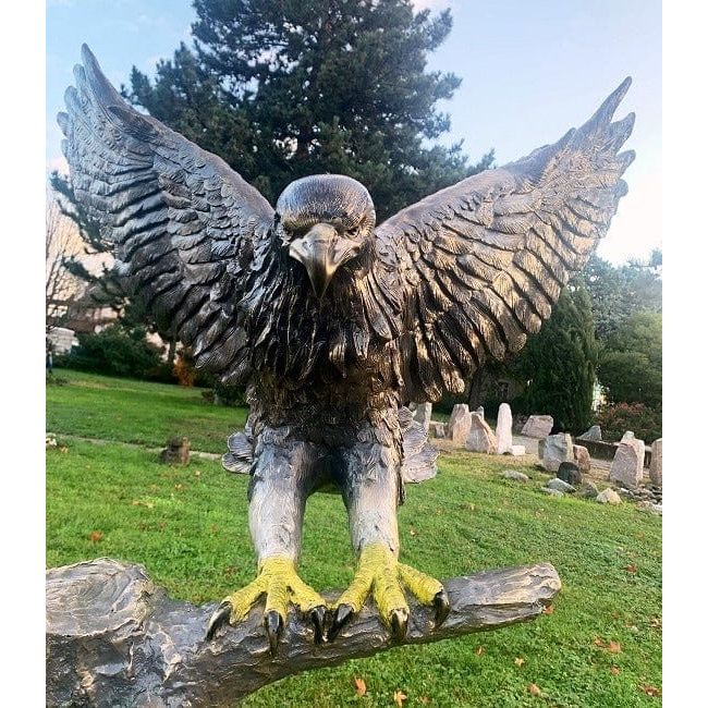 FOUDEBASSIN.COM Weißkopf-Seeadler mit Bronze-Stamm 1420685000 89057