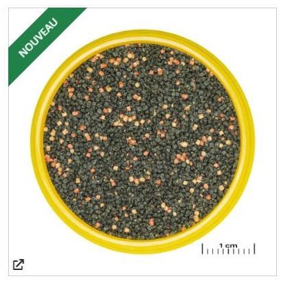 JBL Nourriture pour poissons JBL PRONOVO GUPPY GRANO S 100 ml CLICK 4014162311610 3116100