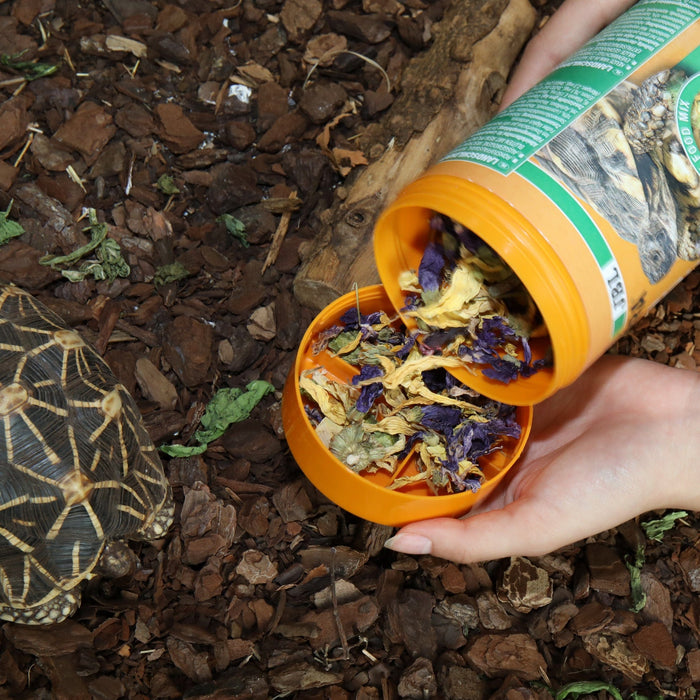 JBL ProTerra JBL Florsil - Aliment de base aux fleurs pour une alimentation variée de toutes les tortues terrestres