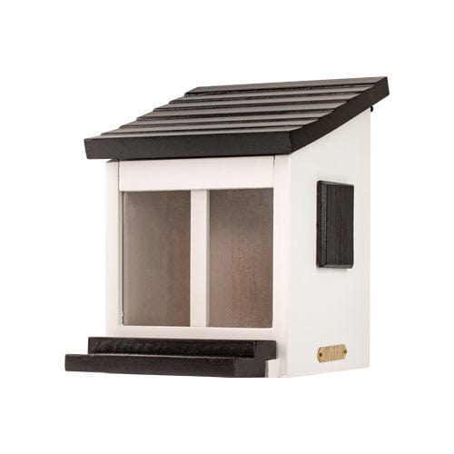 Lok eekhoorns naar uw tuin