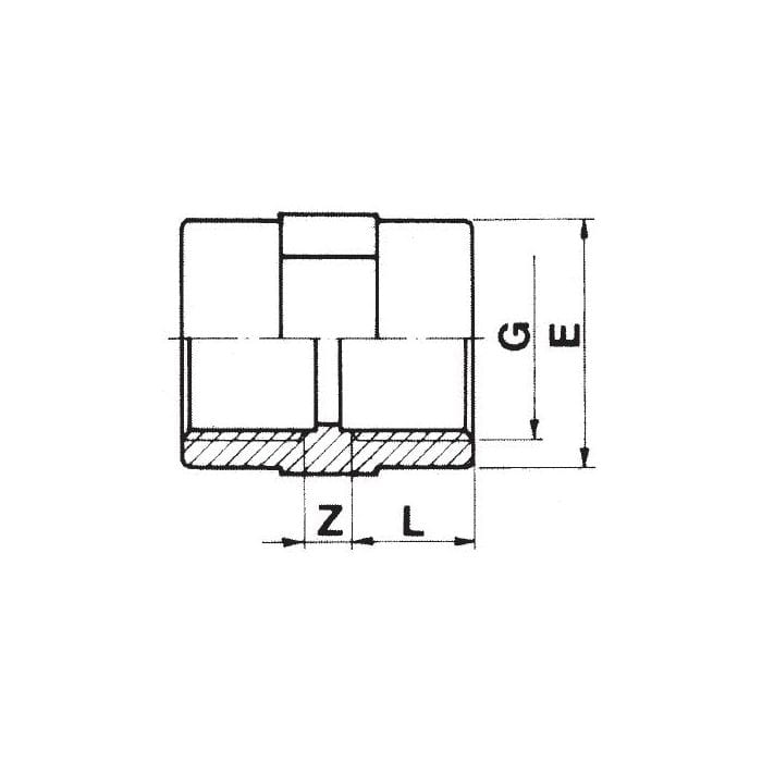 Aquaforte Pieces PVC Manchon 2x filet intérieur - À filet - Sous pression