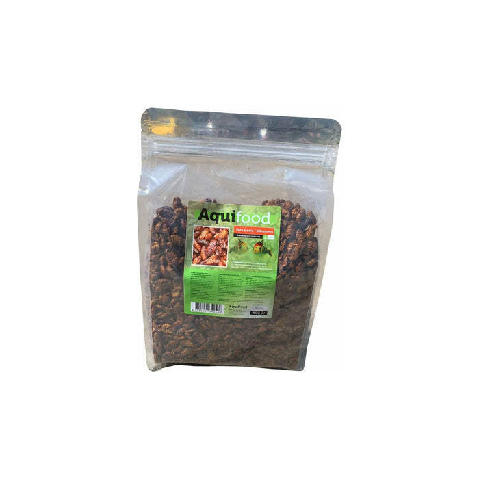 Aquifood Aquifood vers à soie / Silkworm - 800gr 8715837342538 ZVZR25