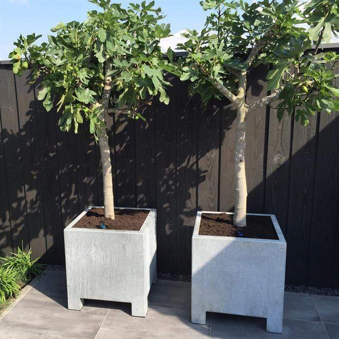 Aquigarden Jardinière en acier galvanisé - Vadim 1.4m x 1.4m x 0,8m vs3.1