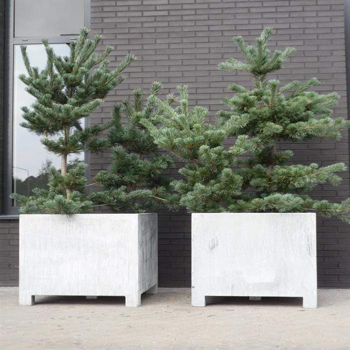 Aquigarden Jardinière en acier galvanisé - Vadim 1m x 1m x 0,8m vs5.1