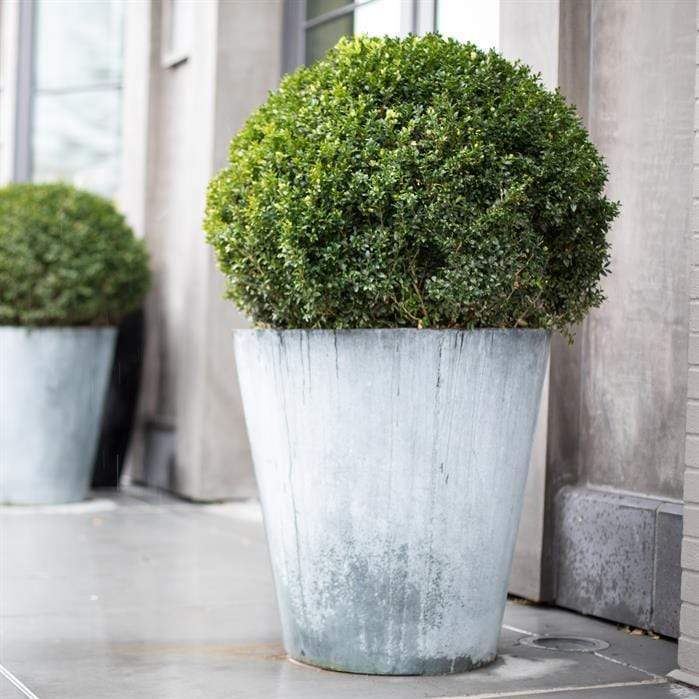 Aquigarden Jardinière en acier galvanisé - Vaza 0.8m x 0.8m vsa2