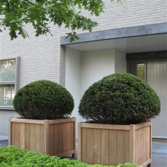 Aquigarden Jardinière en bois exotique - Valencia 1m x 1m x 0.95m HR5